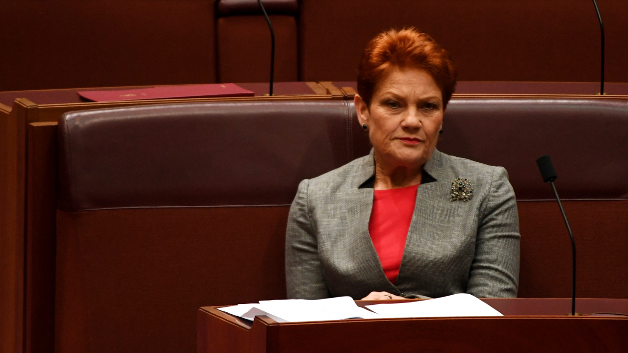 Pauline Hanson says transgender children should be removed from parents