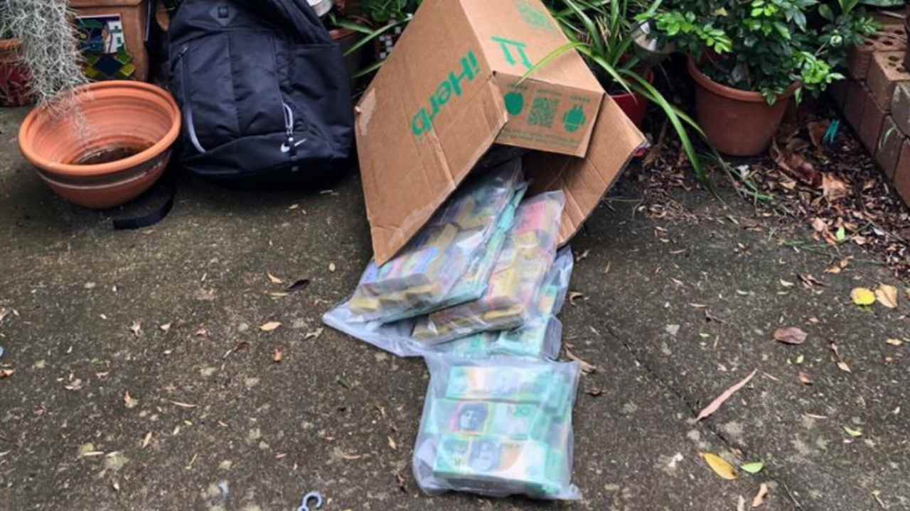 $600k found hidden in Sydneysider’s backyard