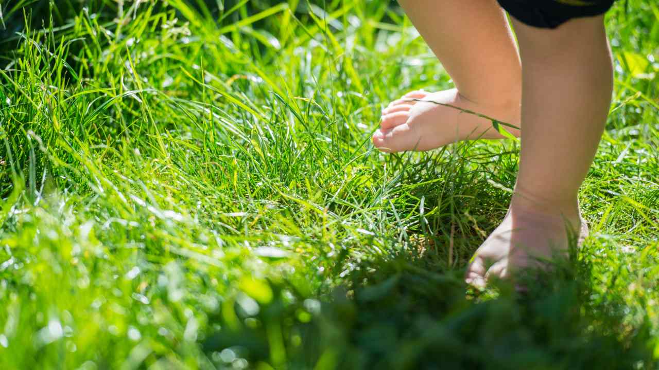 Childcare centre fined for burning toddlers' feet during fire drill