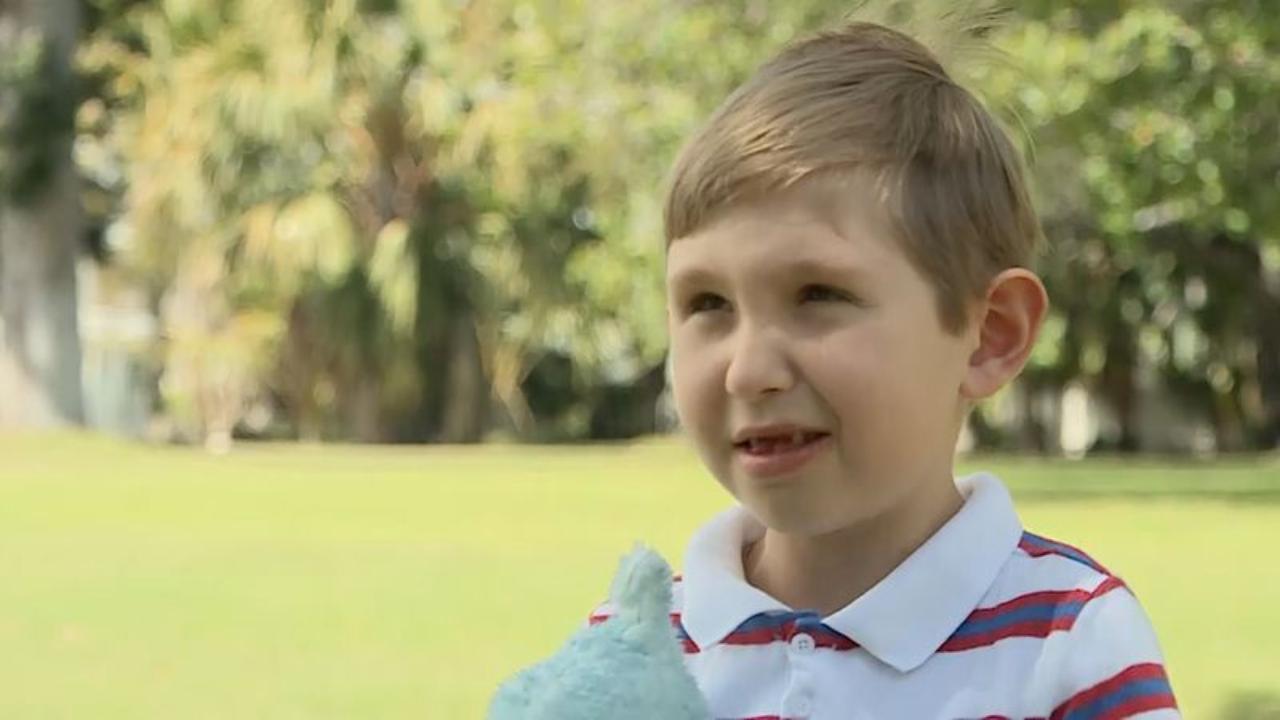 World's tiniest hero? Boy hailed for saving grandmother's life 