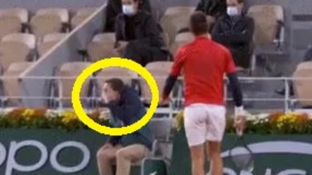 Not again! Novak Djokovic hits judge with tennis ball