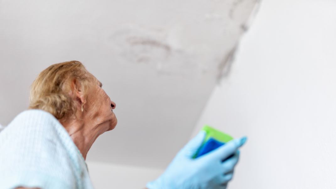 Healthy housing agenda: Mould and damp health costs are about 3 times those of sugary drinks