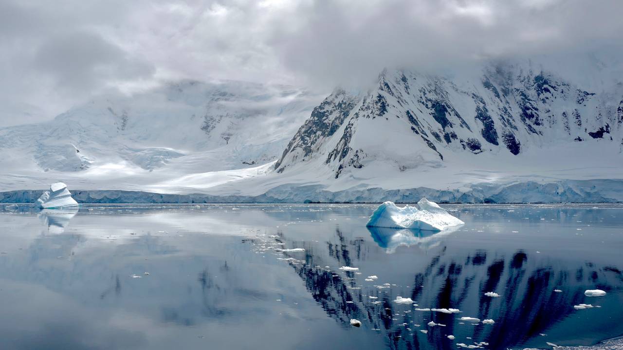 Marine protected area is long overdue: Humans threaten the Antarctic Peninsula’s fragile ecosystem 