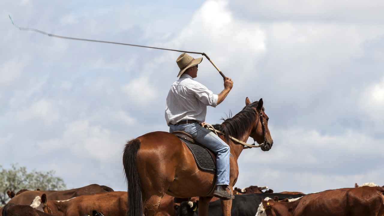 Research shows whipping horses doesn’t make them run faster, straighter or safer — let’s cut it out