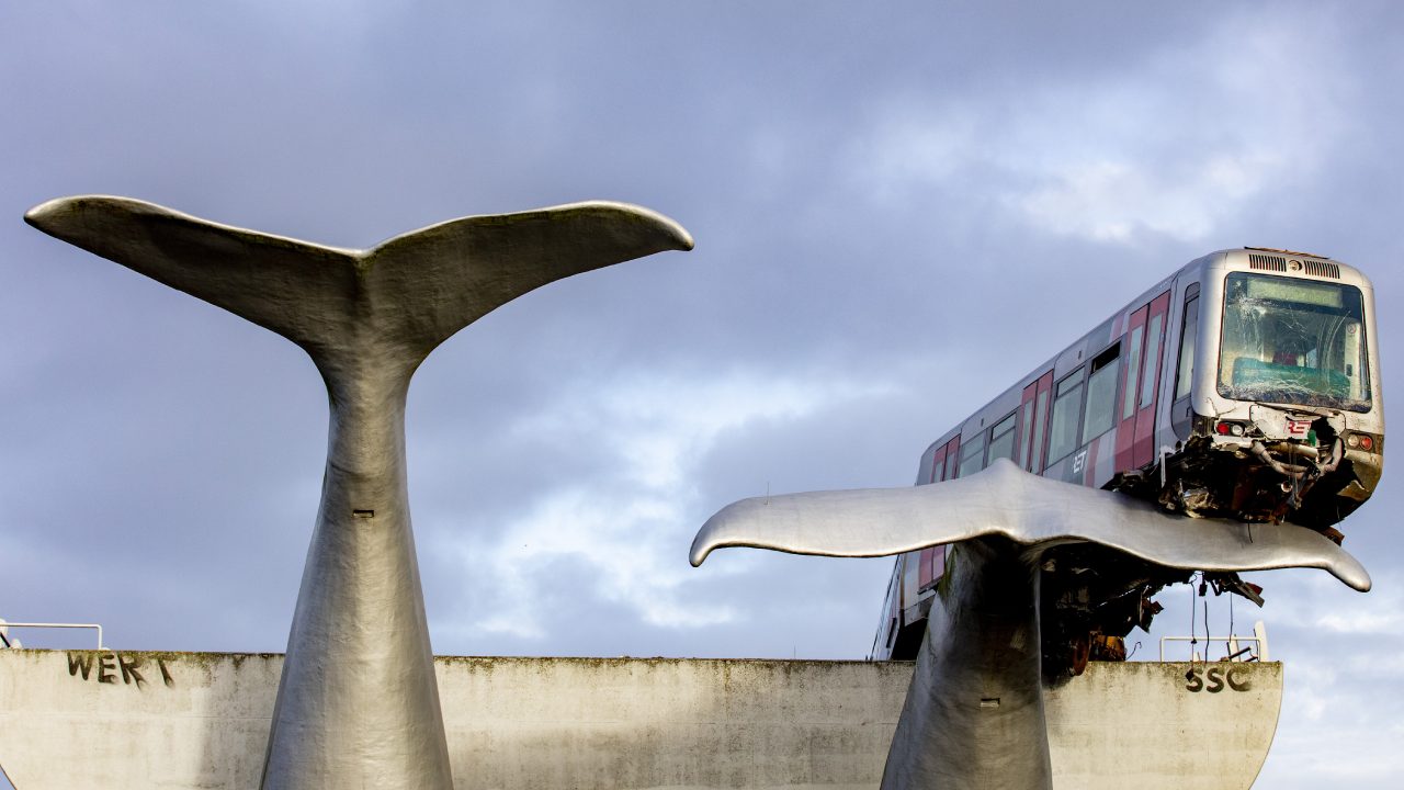 Derailed train saved by giant whale tail