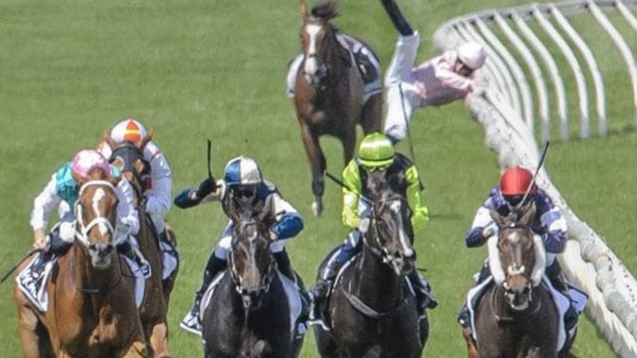  "Sickening": World reacts to Melbourne Cup horse death