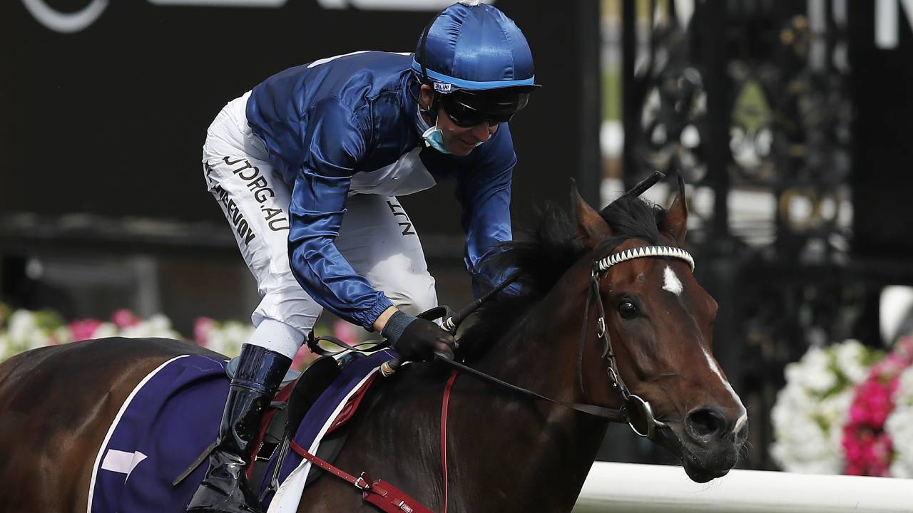 RSPCA calls for total whip ban at Melbourne Cup