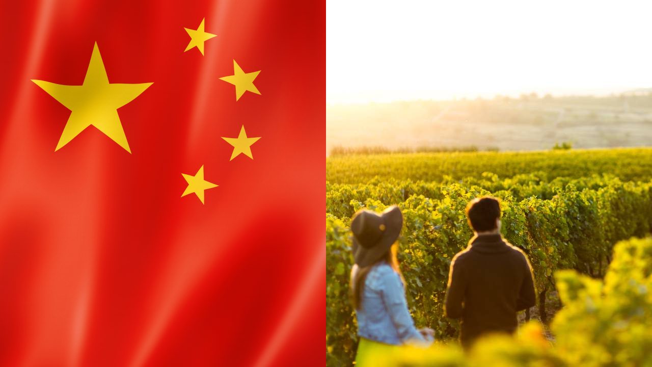 Leaked list of 41 Aussie vineyards owned by Chinese firms
