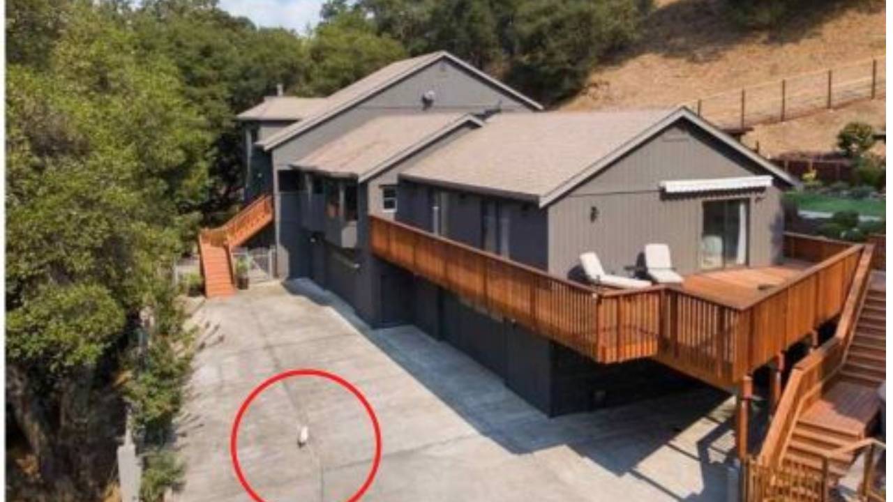 Incredible detail in home listing goes viral