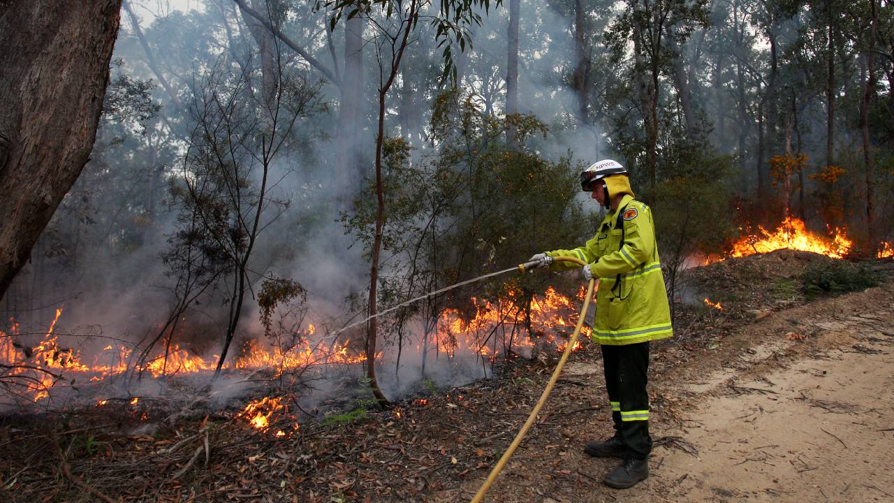 NSW RFS reveals how the $51 million raised by Celeste Barber will be spent