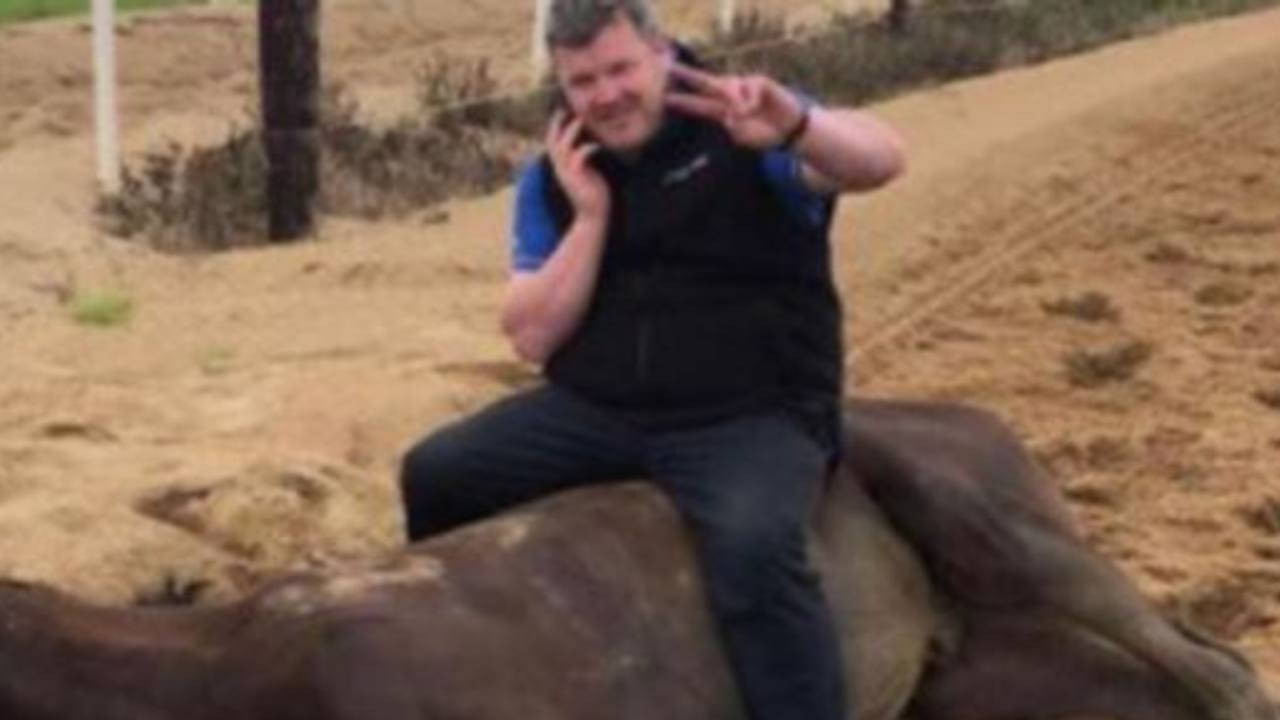 High-profile horse trainer suspended over disturbing photo