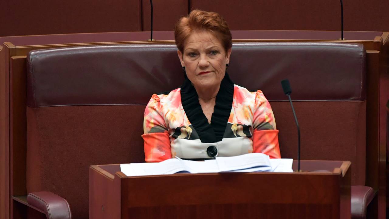 Pauline Hanson called out for spreading "dangerous disinformation"