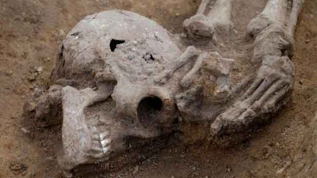 Shocking discovery: Headless skeletons found on a farm