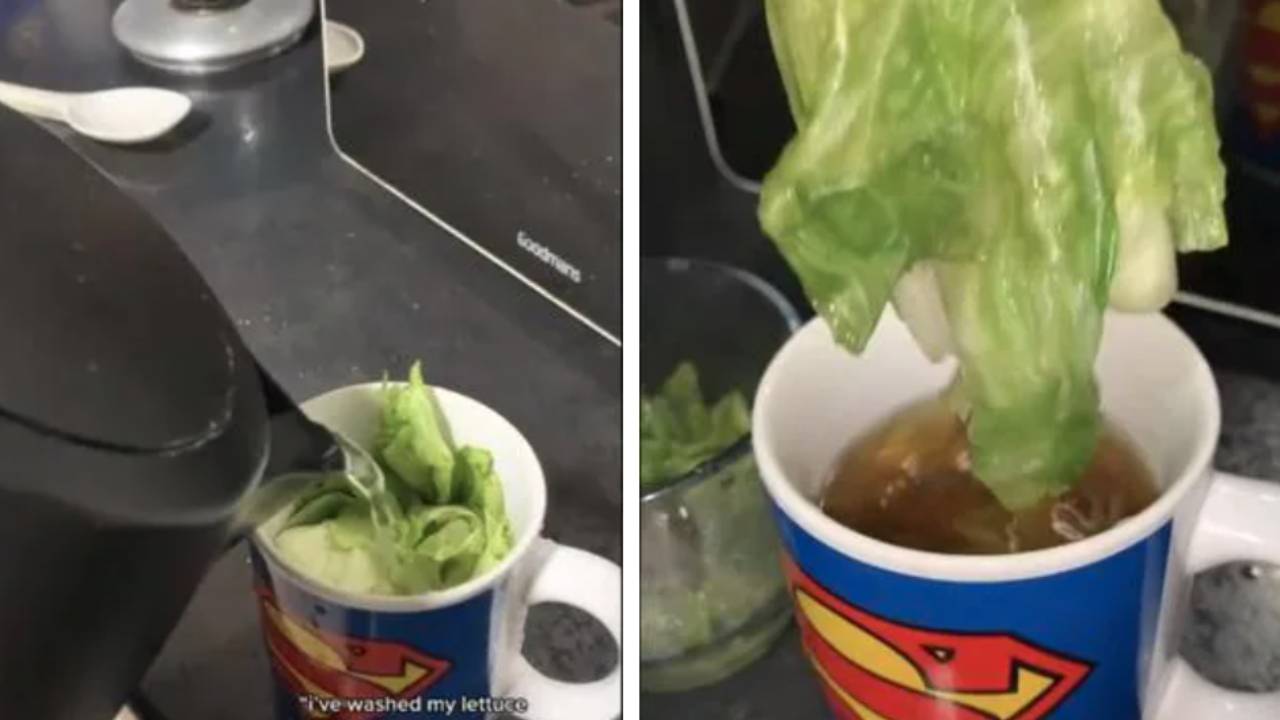 Mind-blowing lettuce hack to help you fall asleep in seconds