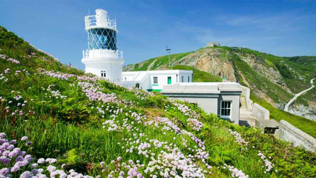 See the island where puffins outnumber people