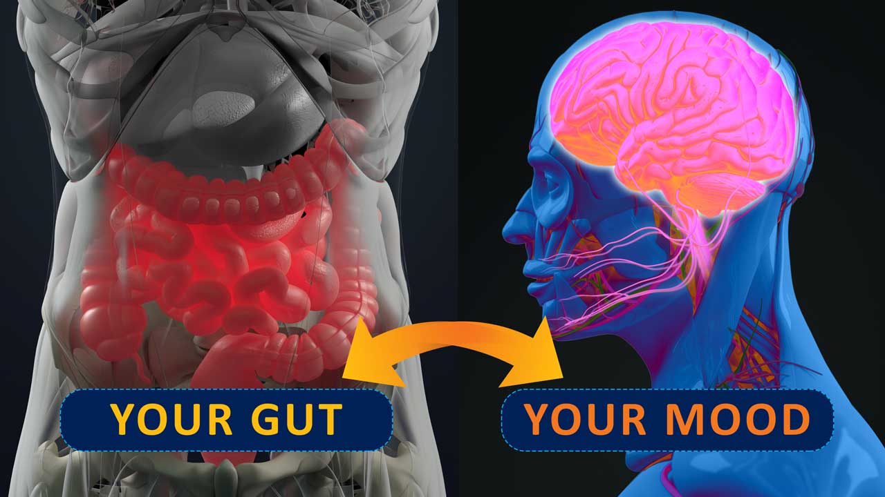 How gut bacteria could affect your mental health