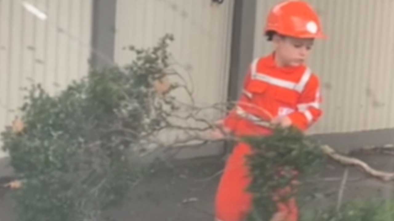 Australia’s tiniest hero gets stuck into storm clean-up