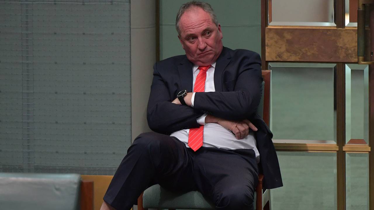 "That's life": Barnaby Joyce fined for mask breach after being dobbed in