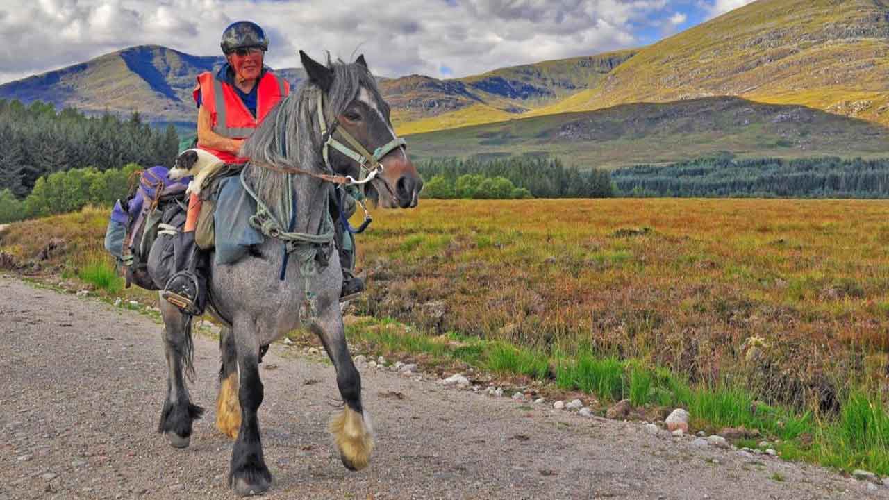 Veteran horsewoman honoured for exceptional achievement