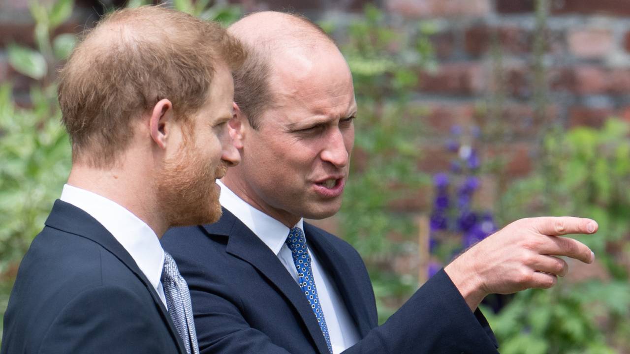 Lip reader reveals exactly what William said to Harry during statue unveiling