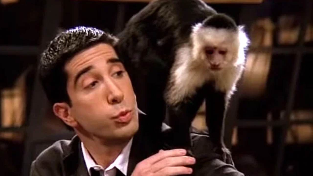 Friends monkey trainer calls out David Schwimmer “despicable” behaviour 