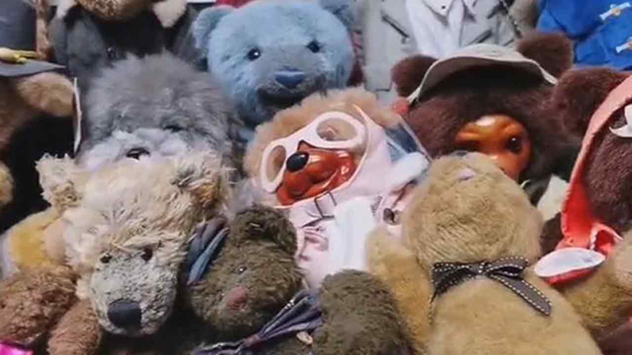 Can you spot the dog among the teddy bears?