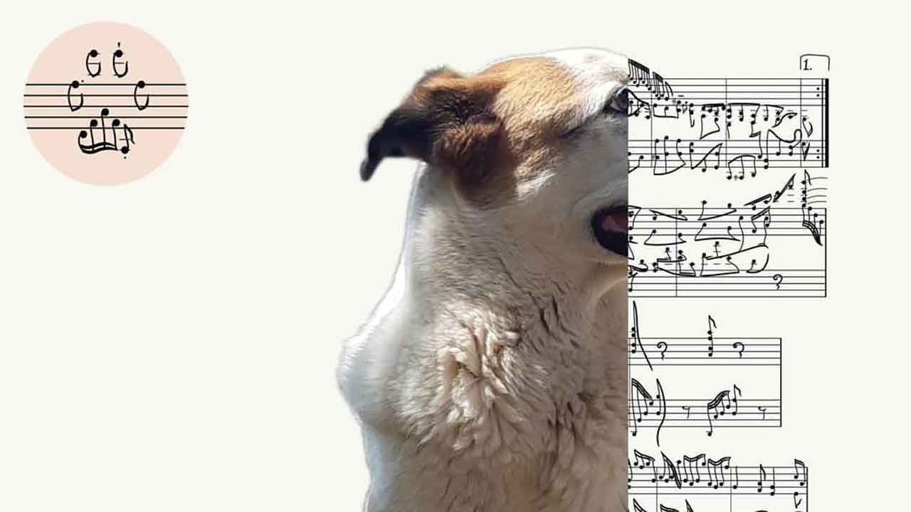 Memorialise your pet in a musical portrait