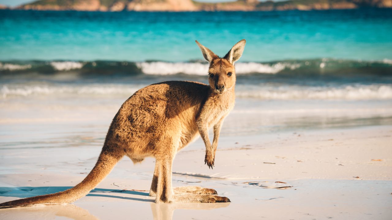 New Tourism Australia ad has nothing to do with Australian destinations