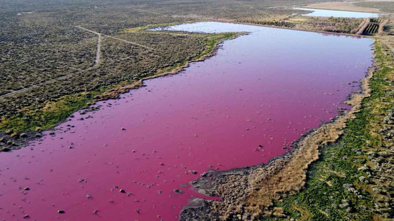 Polluted lakes turn pink, frustrating local residents