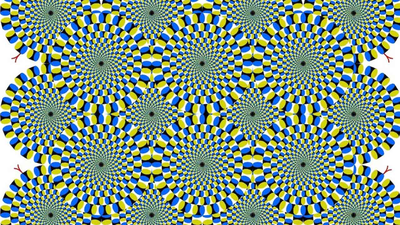 Often fooled by optical illusions? Here’s why