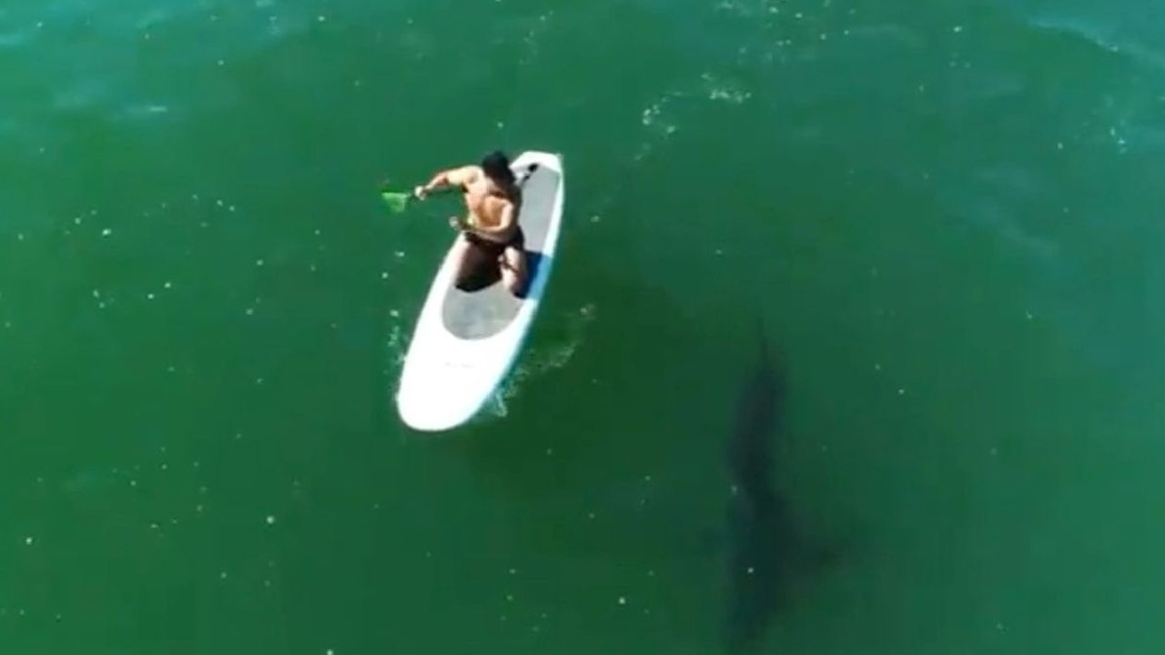 Orlando Bloom has close encounter with Great White Shark