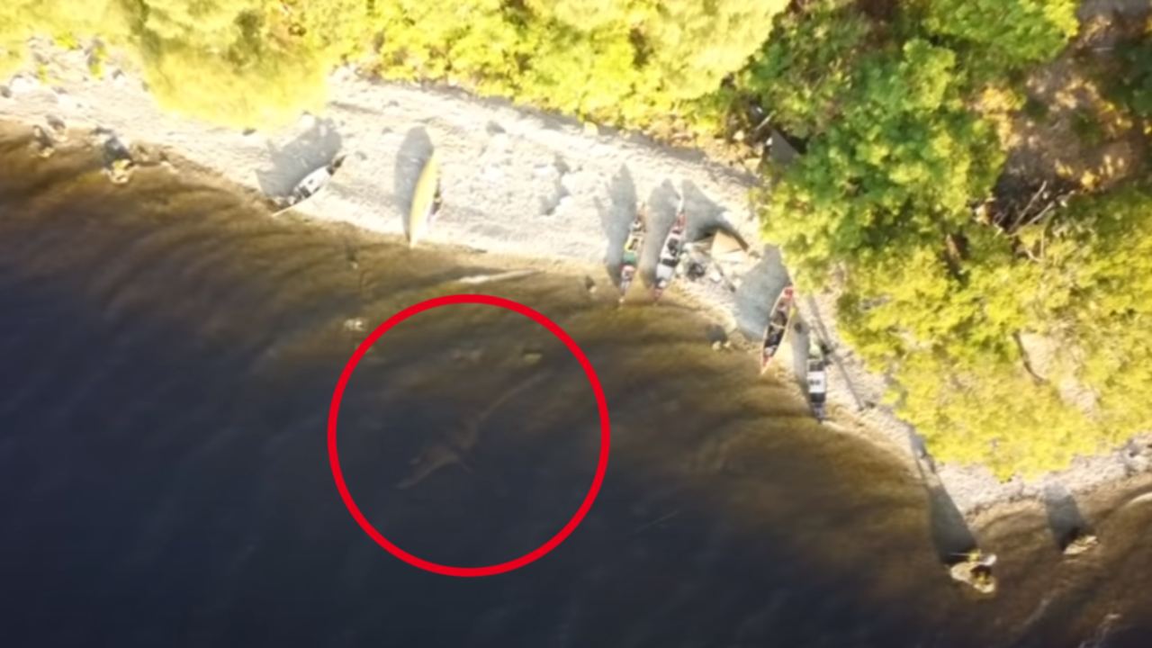 "I couldn't believe it": Drone footage at Loch Ness
