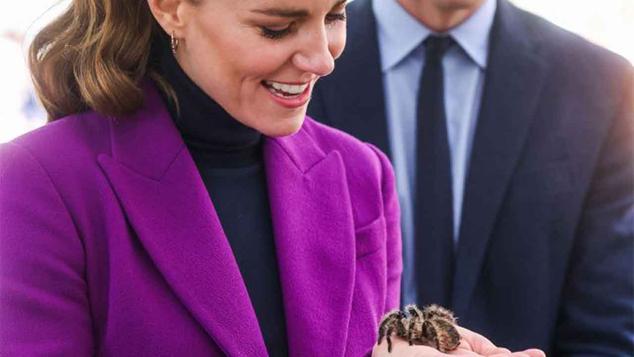 Kate Middleton shows she has nerves of steel