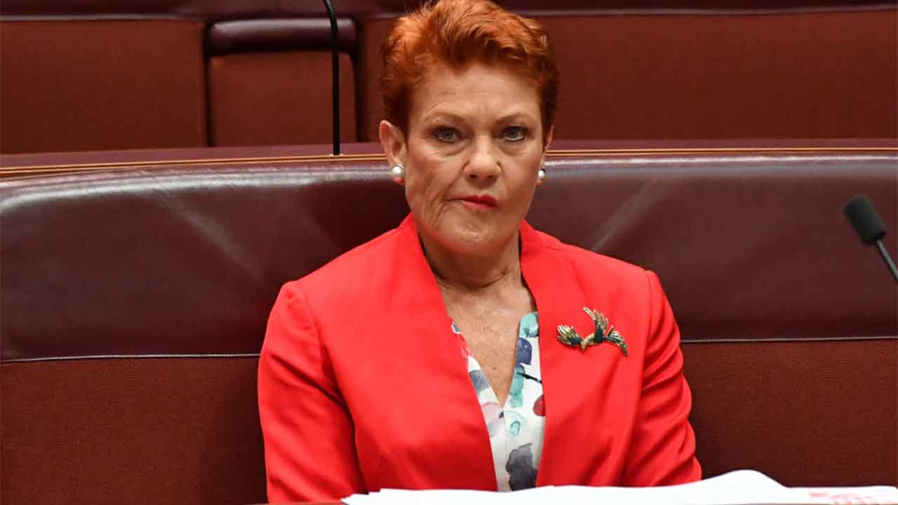 Pauline Hanson calls out new “scaremongering” rules for politicians