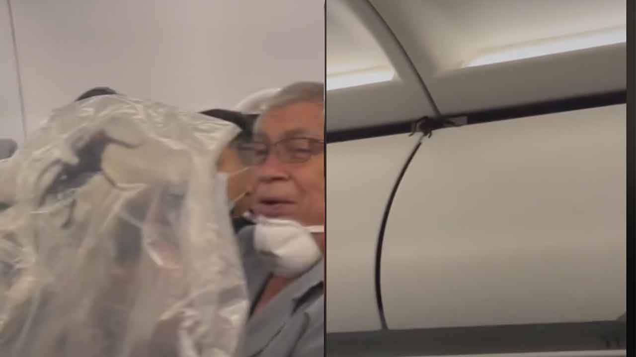 Tarantula spotted on plane MID-FLIGHT