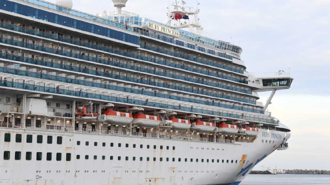 Domestic and international cruises to restart this summer 