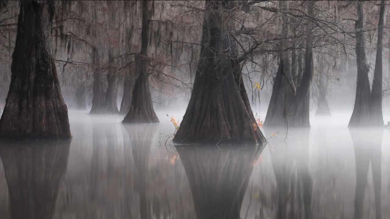 Breathtaking winners of the Panoramic Photography Awards