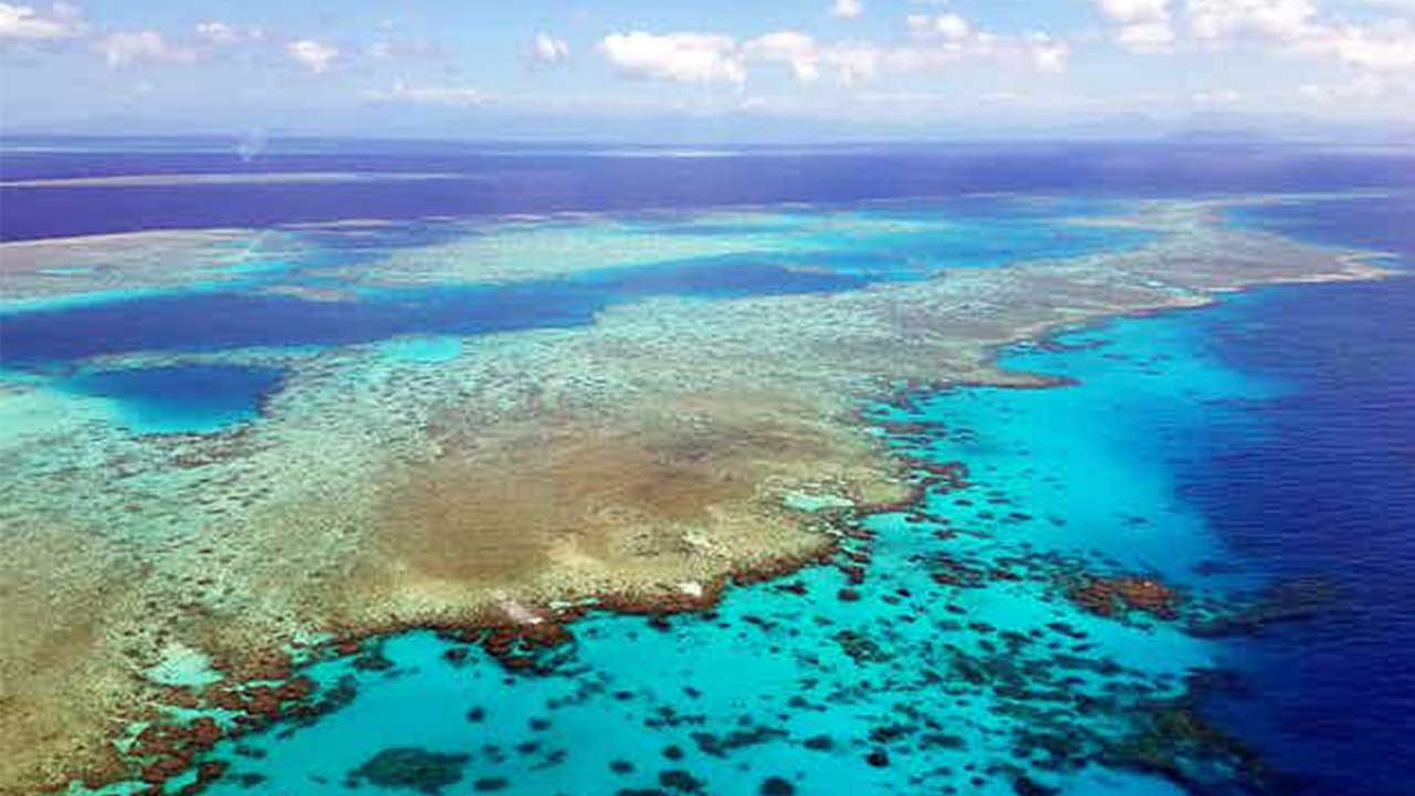 5 major heatwaves in 30 years have turned the Great Barrier Reef into a bleached checkerboard