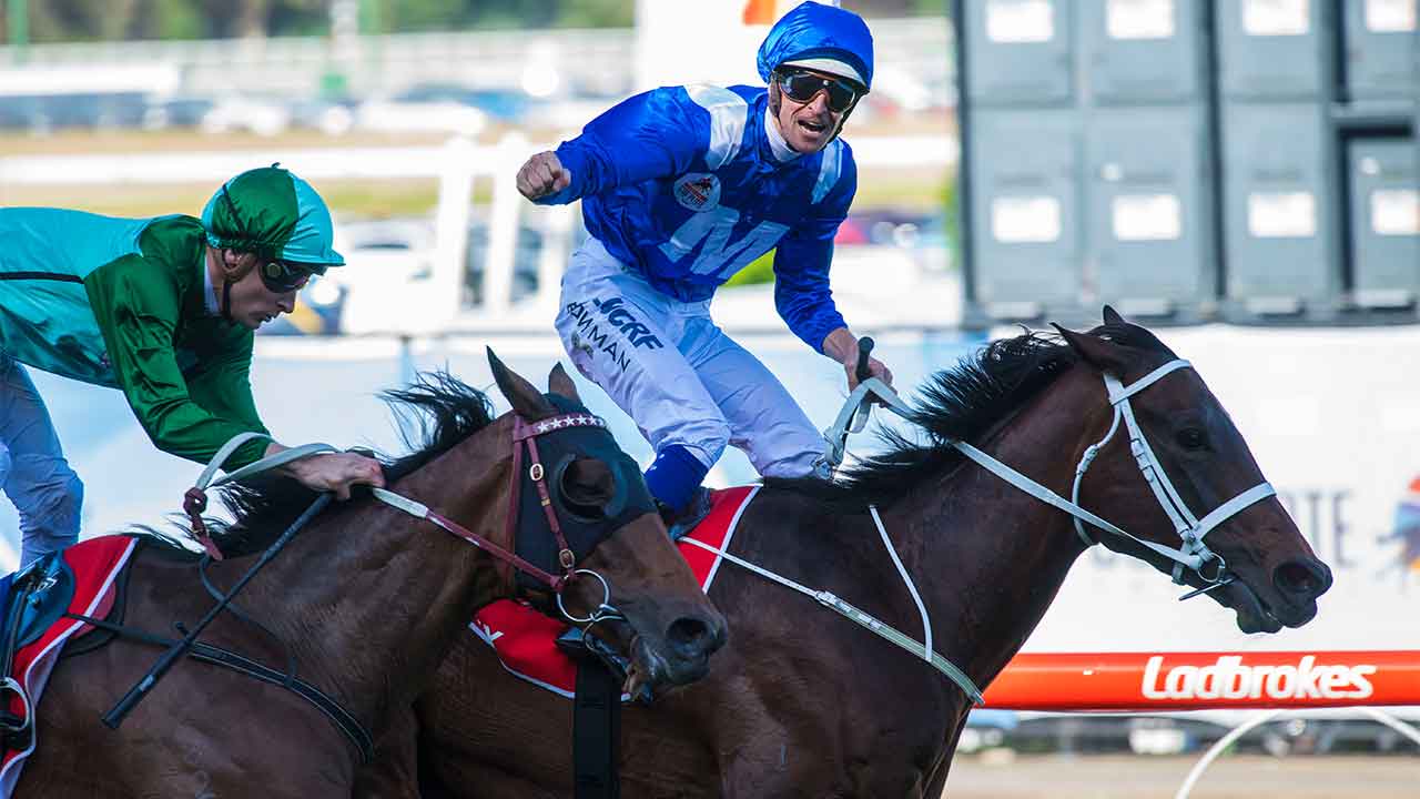 Australia’s best racehorses RANKED by their winnings