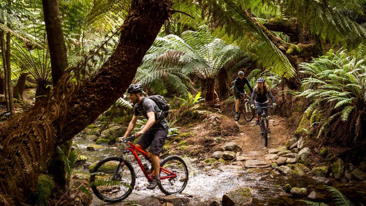 Mountain biking gives this Tasmanian town a sustainable future. Logging does not