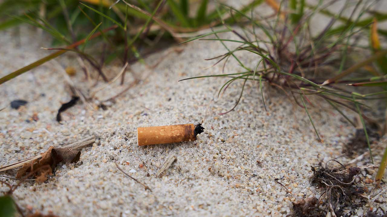 Making the tobacco industry pay for cigarette litter could stop 4.5 billion butts polluting the Australian environment