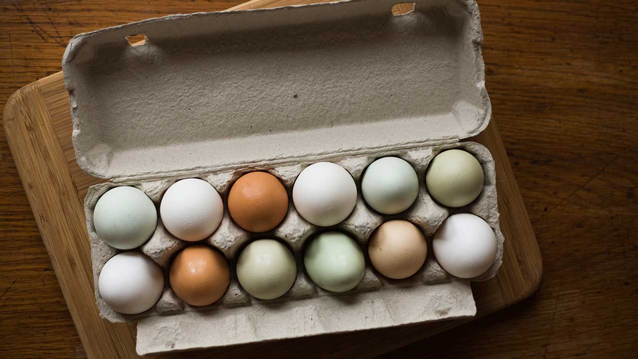 "This is insane": Mum and son’s amazing find in Coles eggs