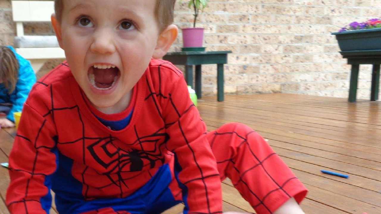Police release William Tyrrell search statement