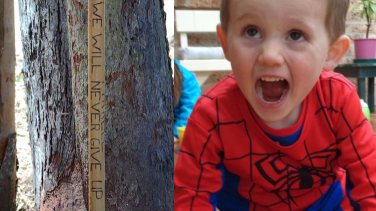 Bone fragments found in search for William Tyrrell