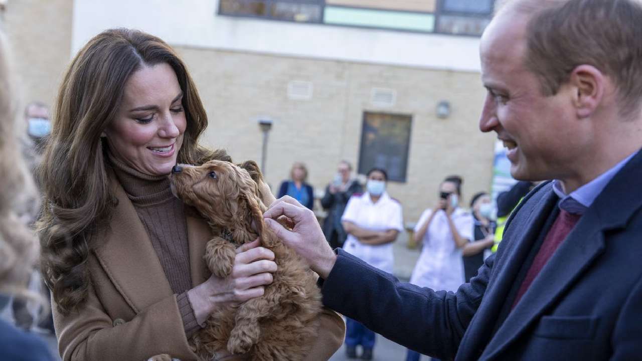 Adorable puppy melts hearts of William and Kate