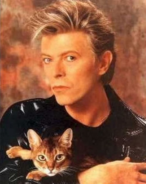 David Bowie