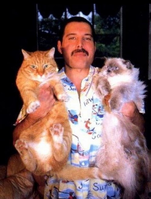 Freddie Mercury