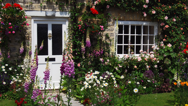 Tips for a cottage-style garden | OverSixty