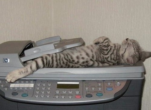 Send A Fax