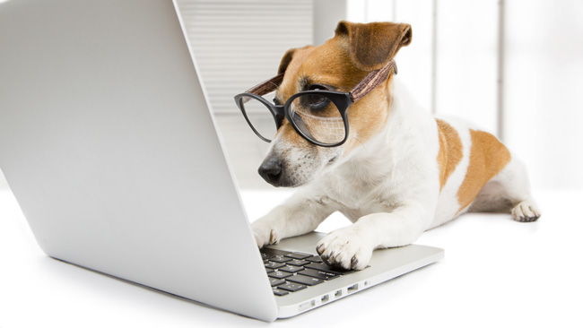 Why you should consider wearing computer glasses